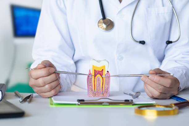 Best Emergency Treatment for Dental Infections or Abscesses in Punta Rassa, FL